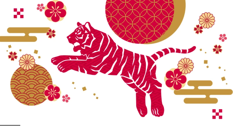 OVNS Team Resume Work After The Lunar New Year Holiday!