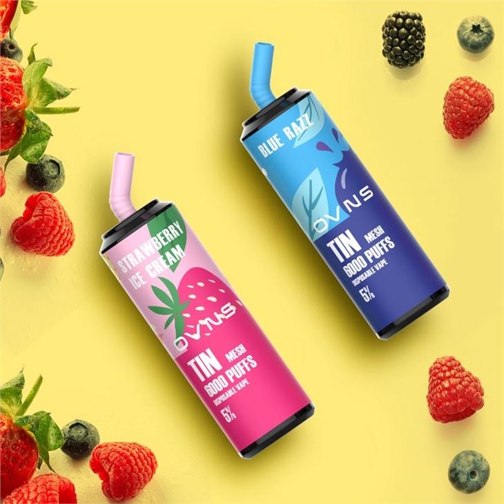 New 6000 Puffs Mesh Coil Disposable Vape