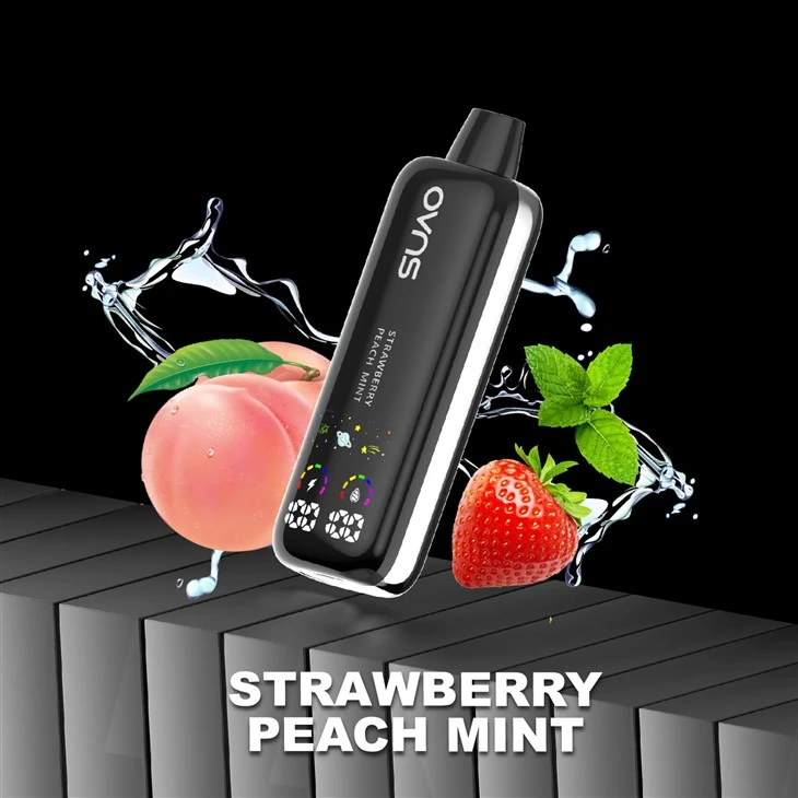 12000 Puffs  Disposable Vape Pen E Cigarette